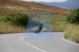 MICH7295
