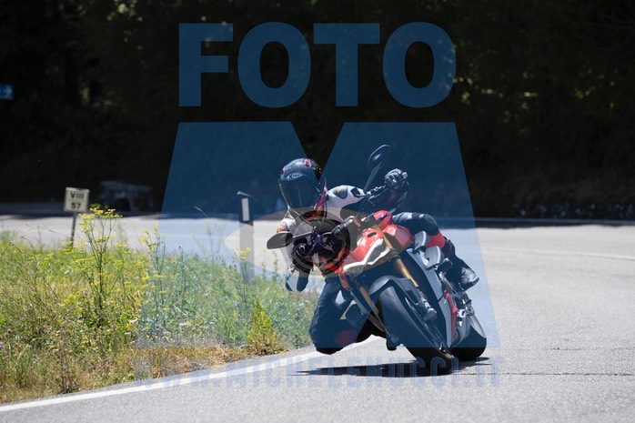 MICH7999