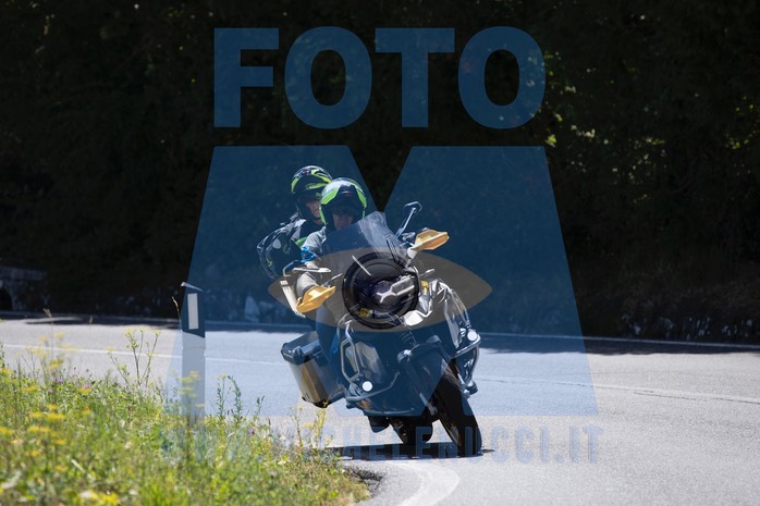 MICH8003