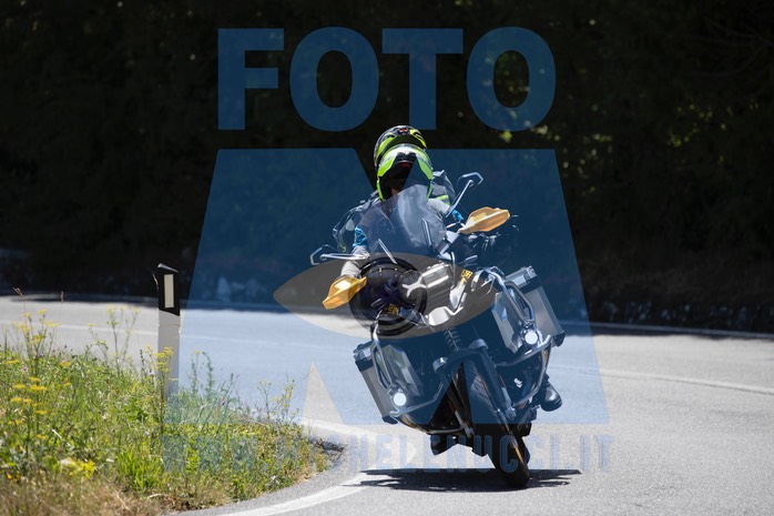 MICH8004