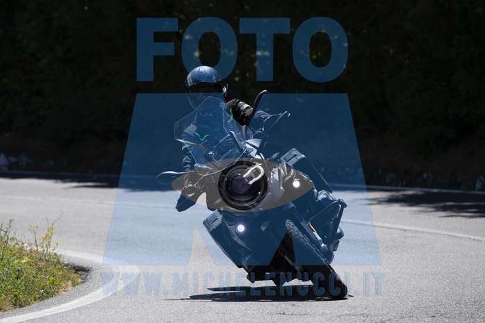 MICH8081