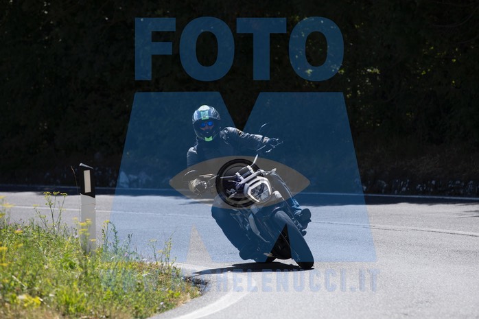MICH8097