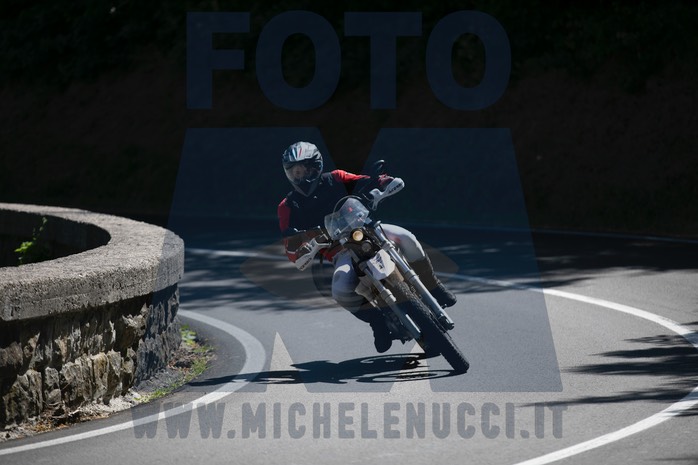 MICH8270