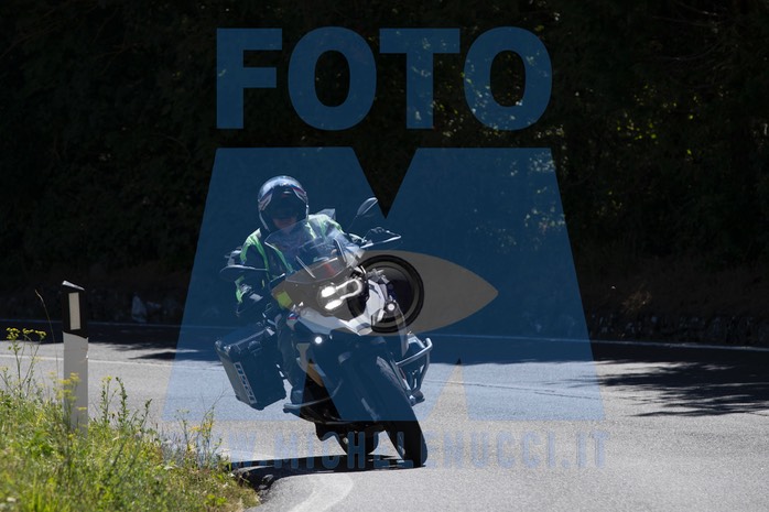 MICH8291