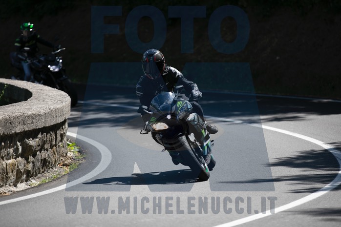 MICH8331