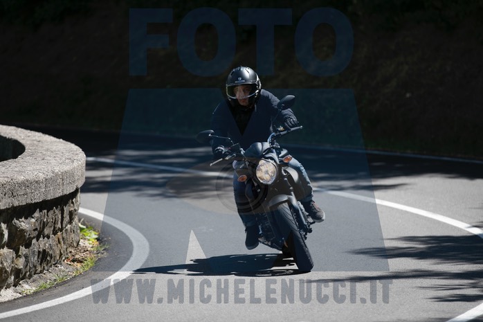 MICH8486