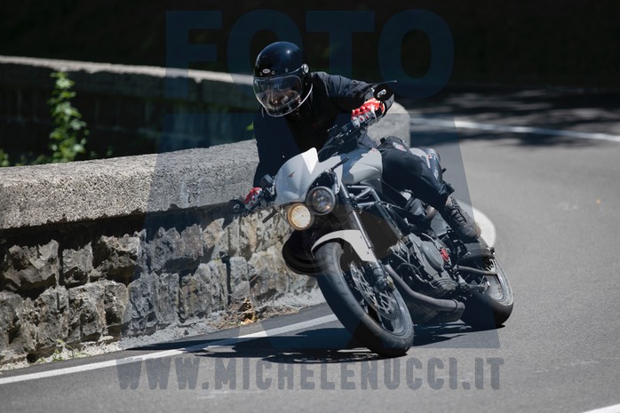 MICH8598