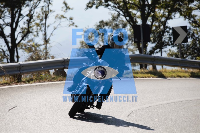 MICH9157