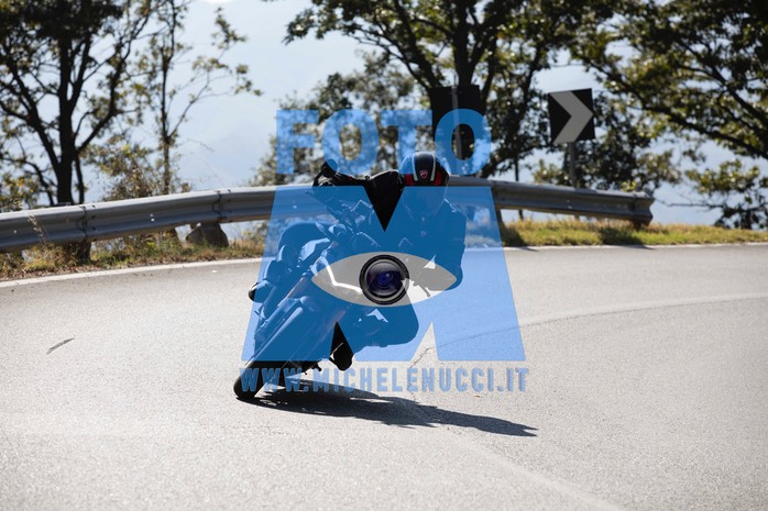MICH9175