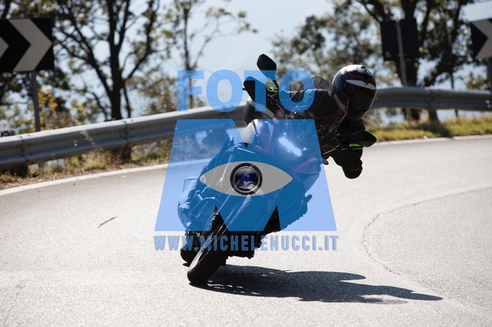 MICH9294