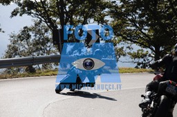 MICH9358