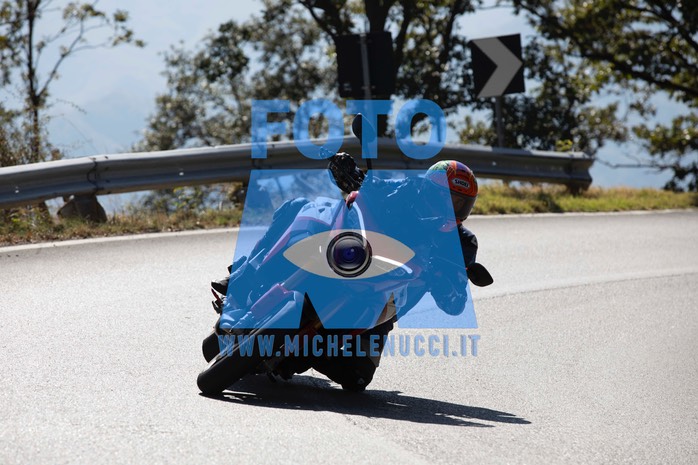 MICH9481