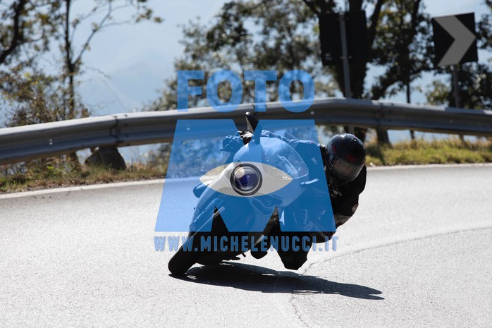 MICH9617