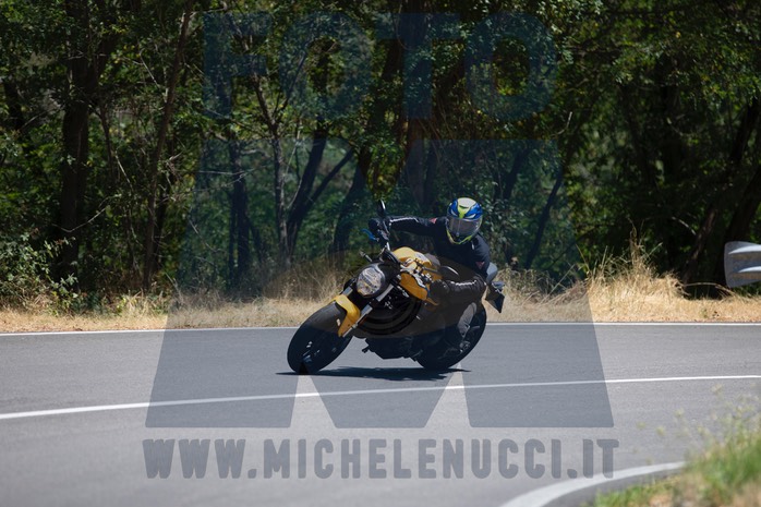 MICH9648
