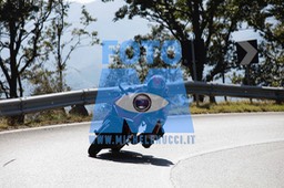 MICH9701