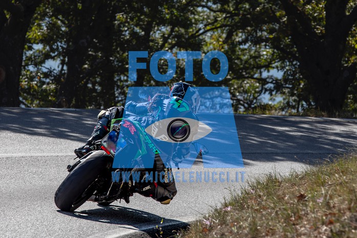 MICH9705-Migliorato-NR