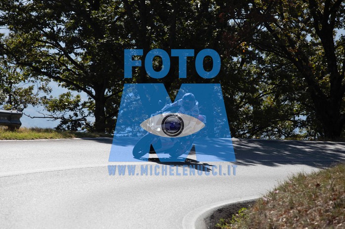 MICH9731