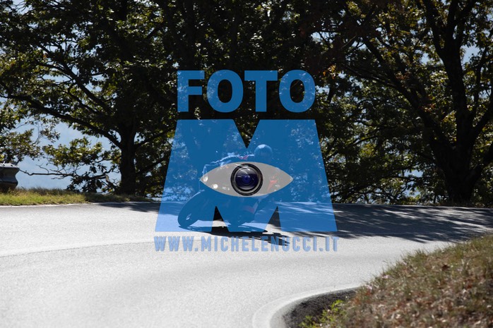 MICH9780