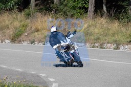 MICH9799