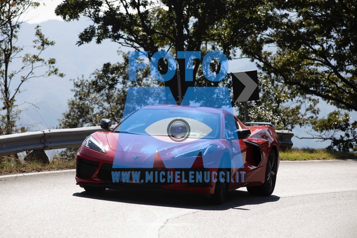 MICH9874