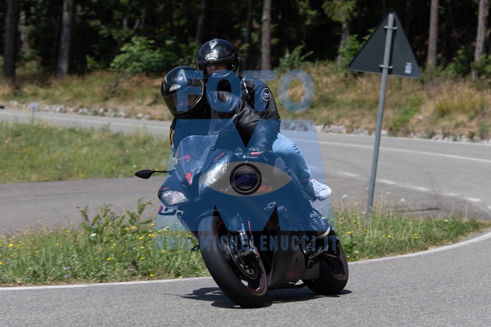 MICH9889