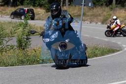 MICH9917
