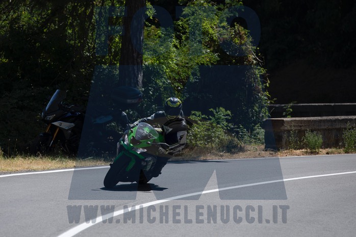 MICH9952