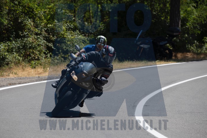 MICH9980