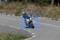 MICH9985