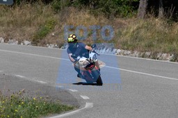 MICH9986