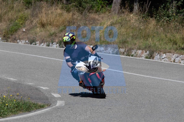 MICH9987