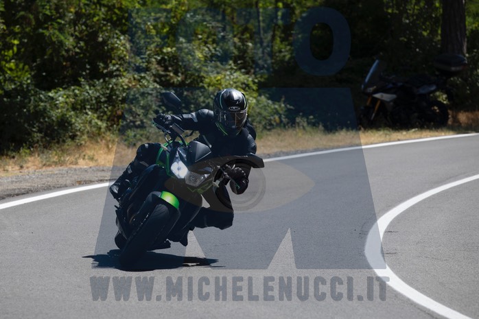 MICH9992