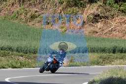 0T0A0475
