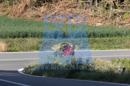 0T0A0575