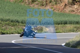 0T0A0622