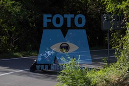 0T0A0645