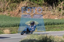 0T0A0717