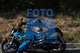 0T0A0877