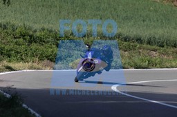 0T0A0944