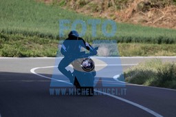 0T0A0993