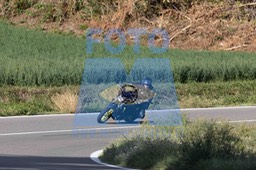 0T0A1069