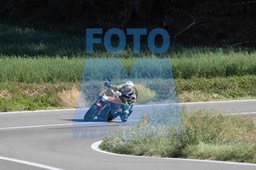 0T0A4264